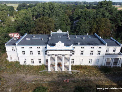 Pałac w Głuchowie