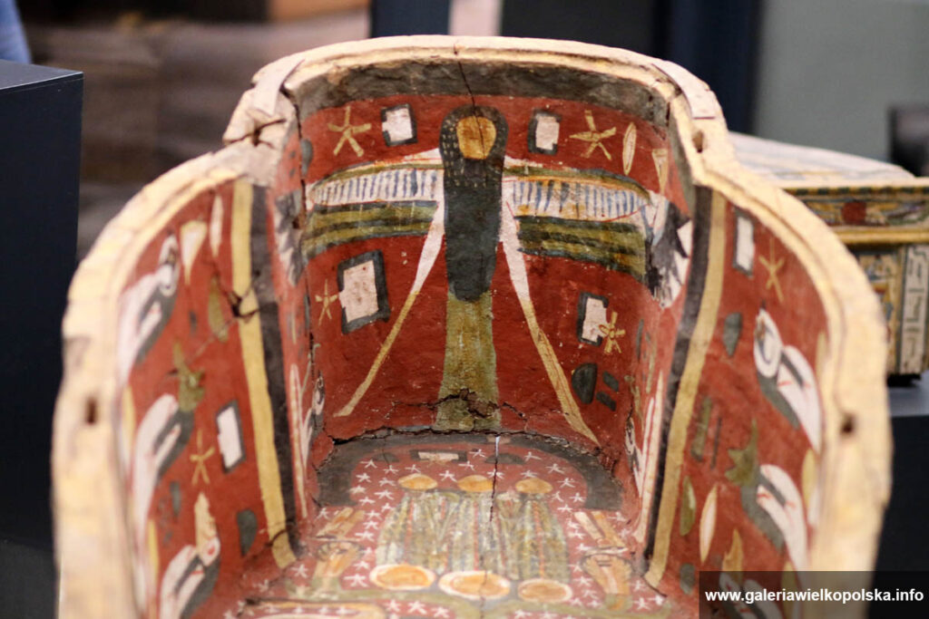  Śmierć i życie w starożytnym Egipcie - wystawa w Muzeum Archeologicznym w Poznaniu 
