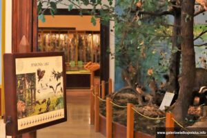 Muzeum Przyrodnicze w Jeziorach